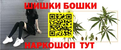 индика Малоярославец